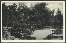 17031 Gezicht in het bos in de omgeving van Bilthoven (gemeente De Bilt).